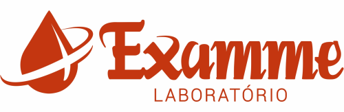 Logo EXAMME LABORATÓRIO DE ANÁLISES CLÍNICAS