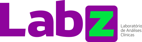 Logo LABENDZ & HUPP LTDA